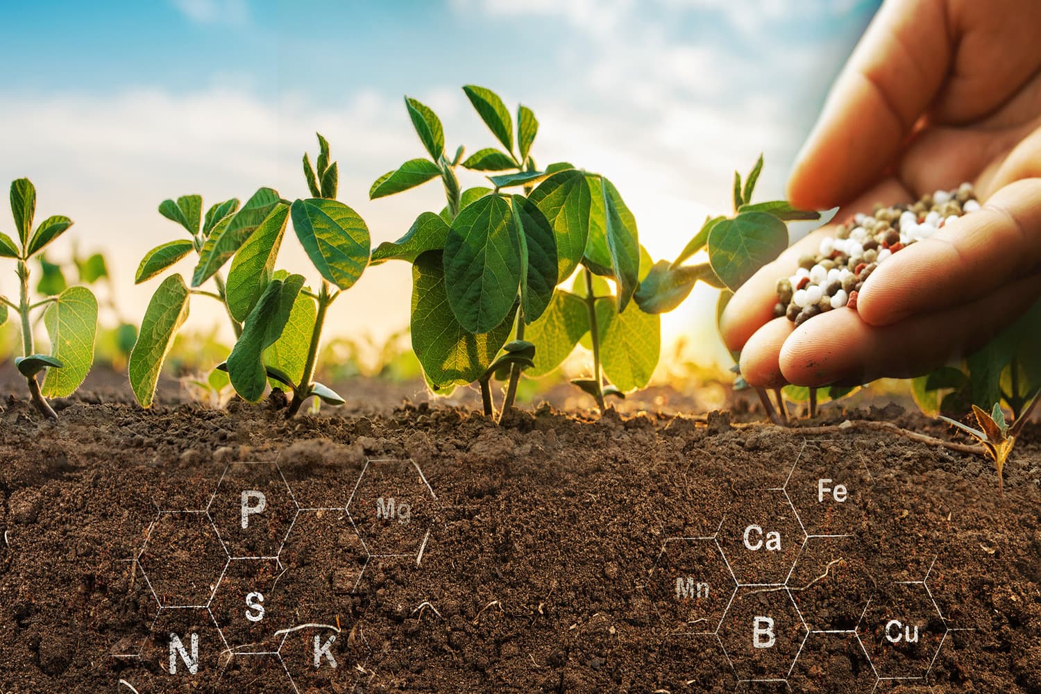 capa-nutricao-foliar