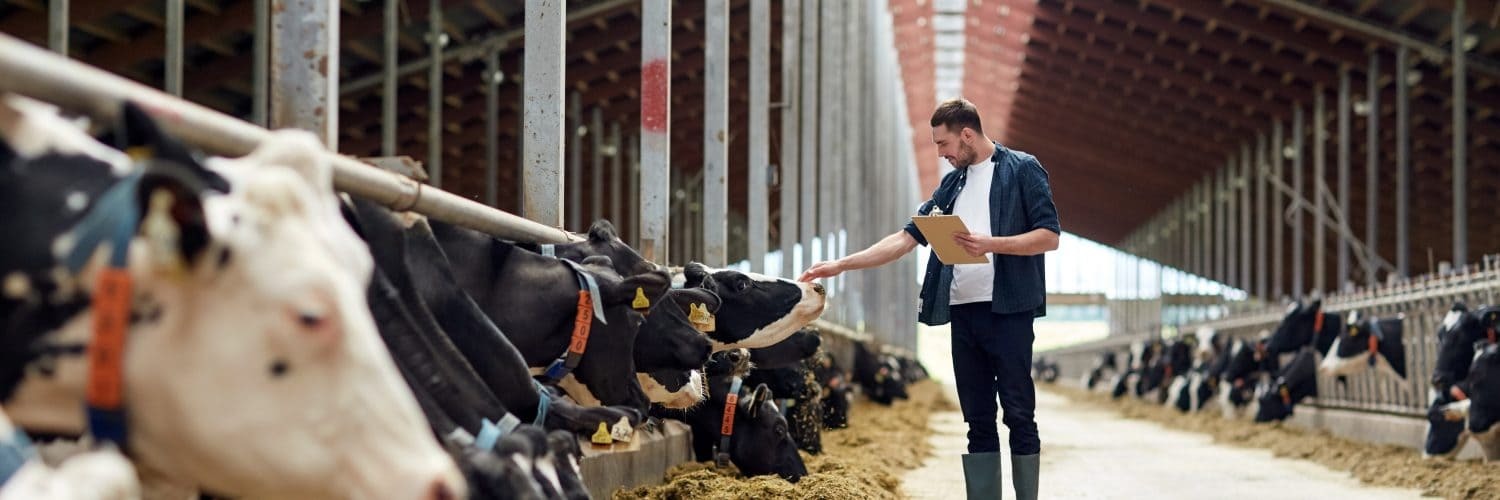 producao-pecuaria-leiteira